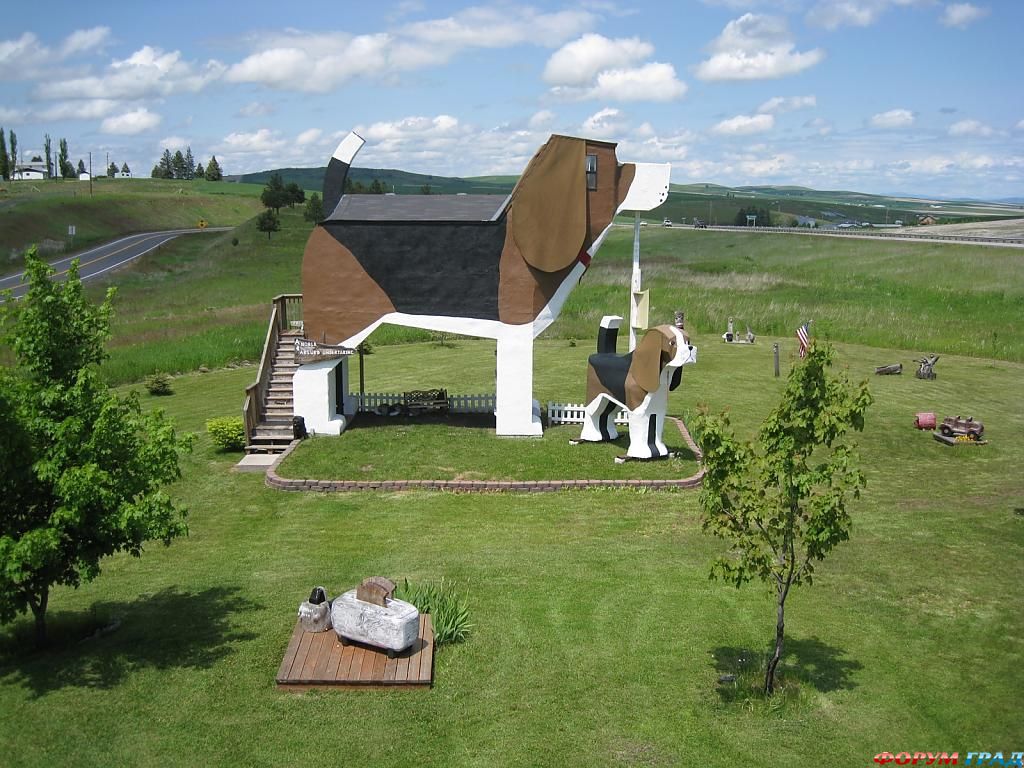 Отель Dog Bark Park Inn