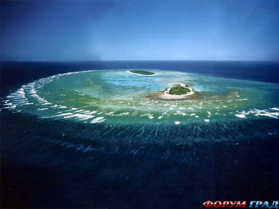 barrier-reef-coral-australia-09