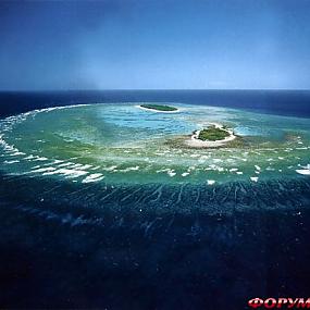 barrier-reef-coral-australia-09