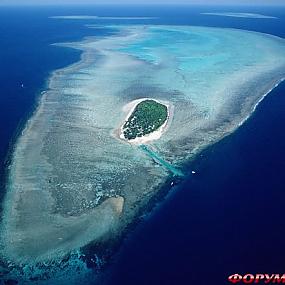 barrier-reef-coral-australia-10