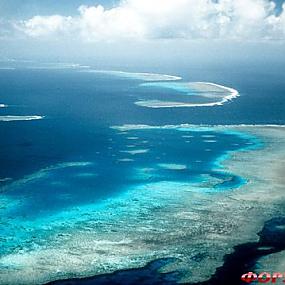 barrier-reef-coral-australia-12