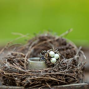 bird-themed-wedding-ideas-01