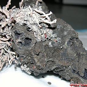 deep-sea-hydrothermal-vent-11