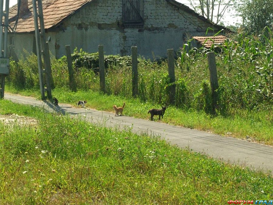 hungary-travel-194