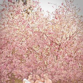 pink-crab-apple-wedding-inspiration-04