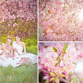 pink-crab-apple-wedding-inspiration-05