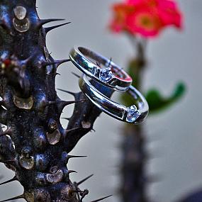 wedding-ring-122