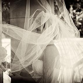 bride-dress-veil-19