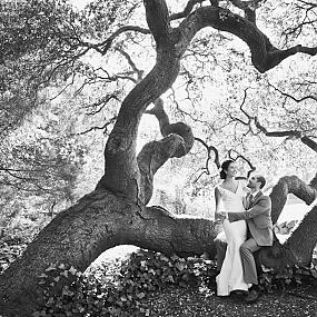 san-francisco-piedmont-center-newlyweds-under-tree