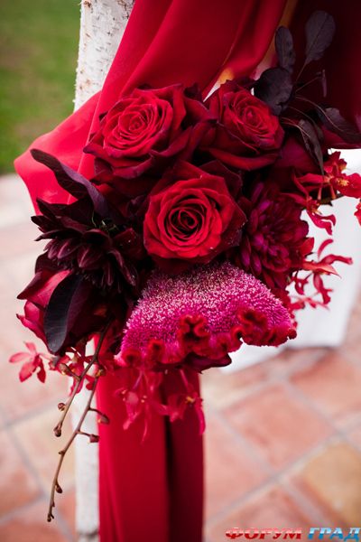 the-treasured-petal-01