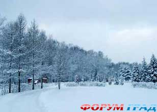 Санаторий Русское поле