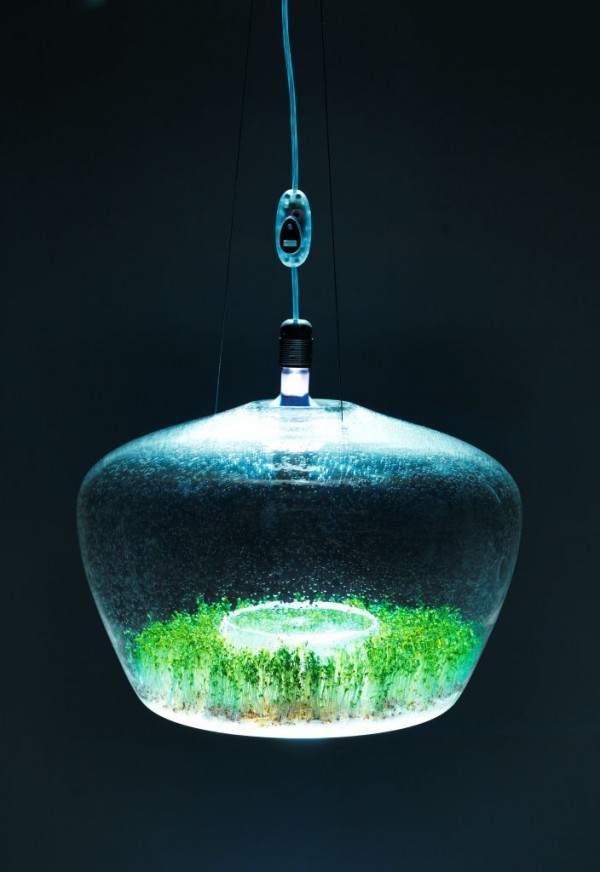 a-suspended-glass-greenhouse-lamp-01