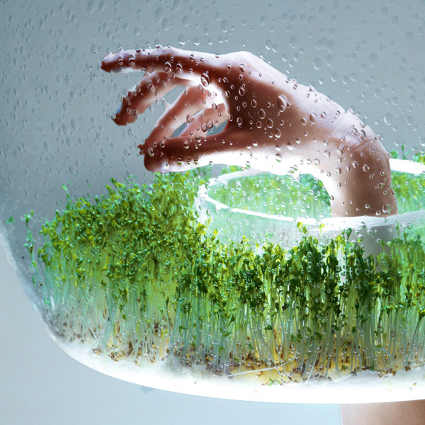 a-suspended-glass-greenhouse-lamp-02