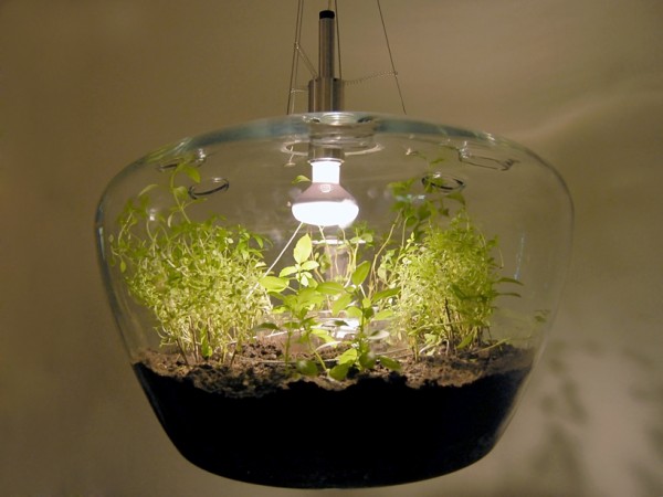 a-suspended-glass-greenhouse-lamp-04