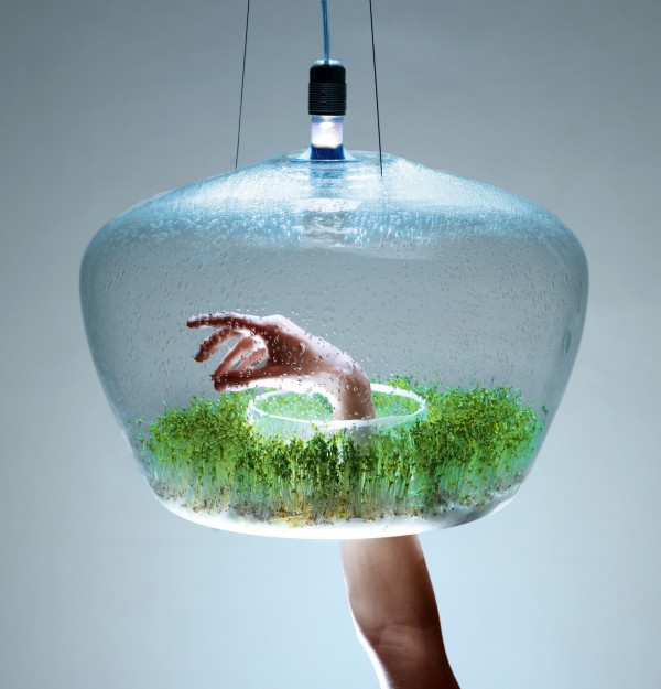 a-suspended-glass-greenhouse-lamp-05