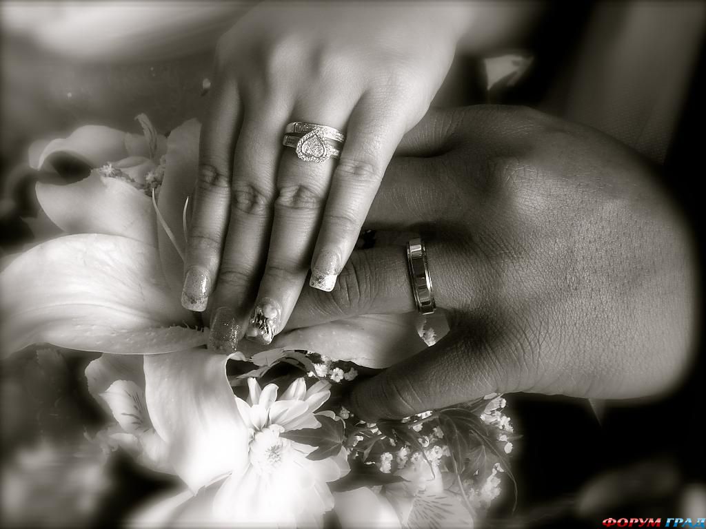 forever-committed-01