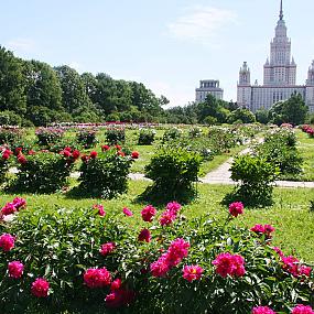 Ботанический сад МГУ им. Ломоносова