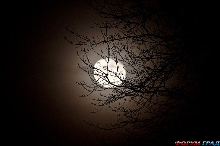 самостоятельные путешествия