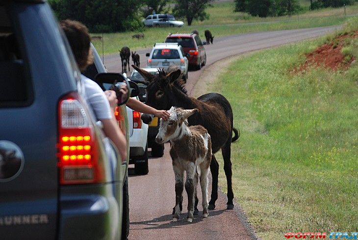 самостоятельные путешествия