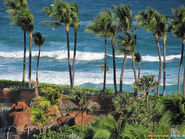 самостоятельные путешествия