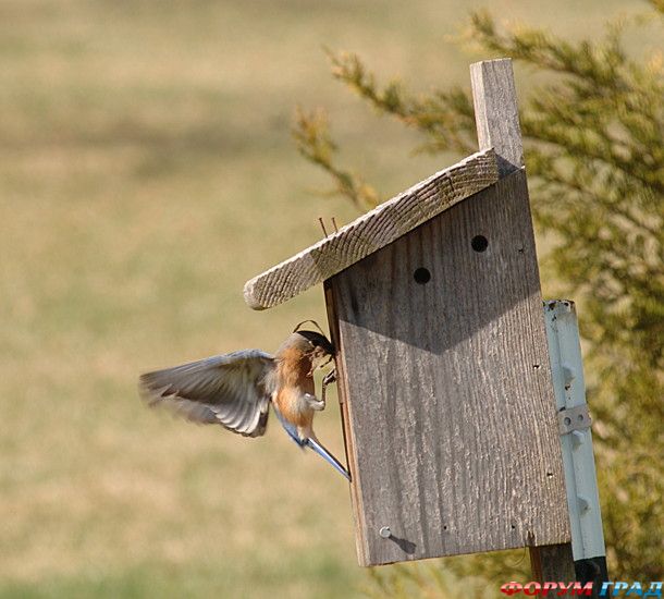 самостоятельные путешествия