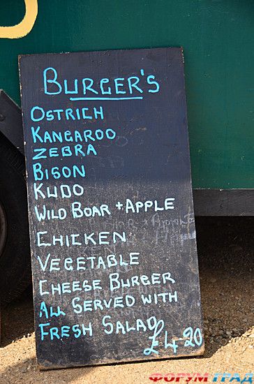 самостоятельные путешествия