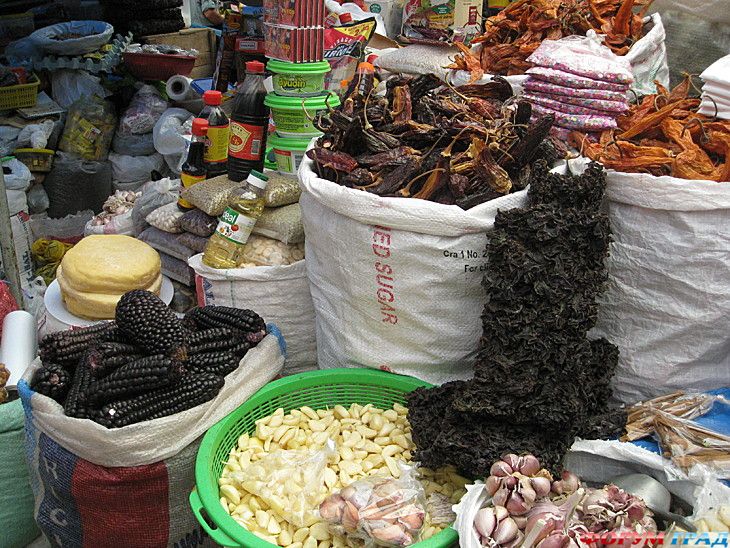 самостоятельные путешествия