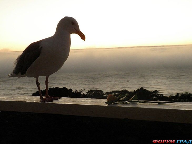 самостоятельные путешествия