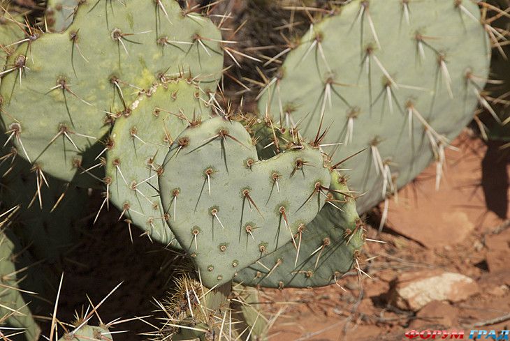 самостоятельные путешествия