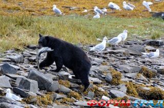 самостоятельные путешествия