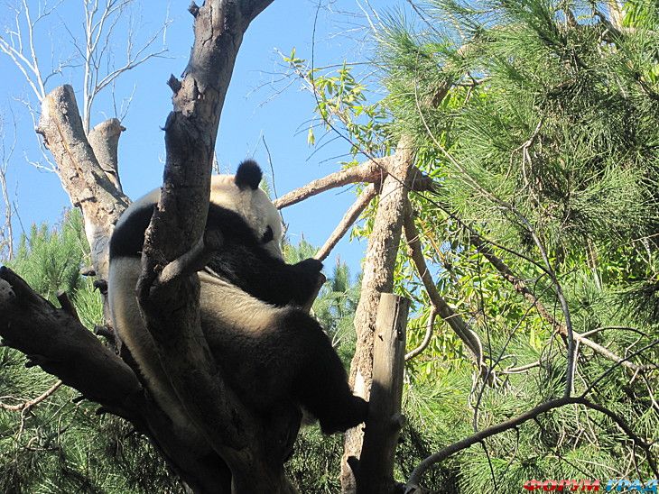 самостоятельные путешествия