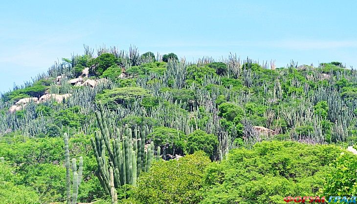 самостоятельные путешествия