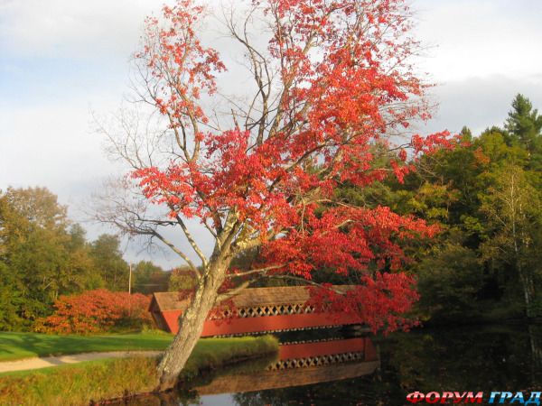 самостоятельные путешествия