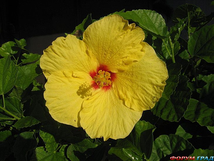 самостоятельные путешествия