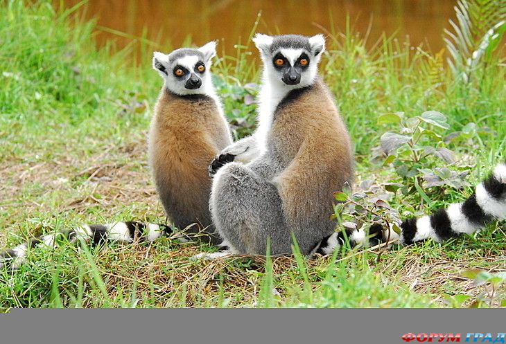 самостоятельные путешествия