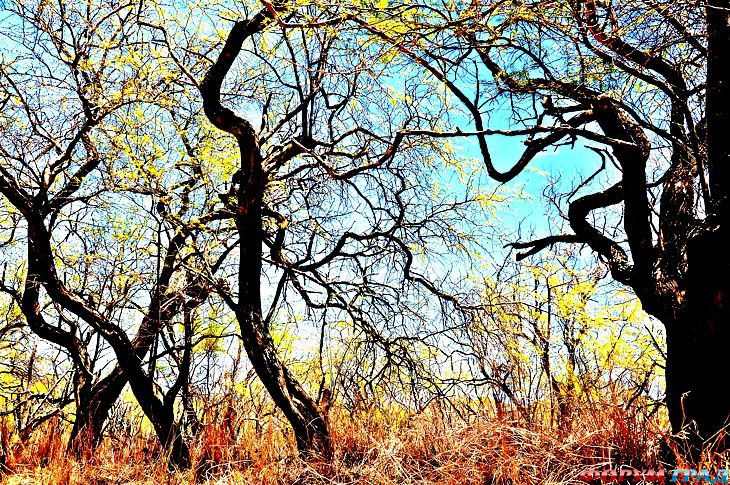 самостоятельные путешествия