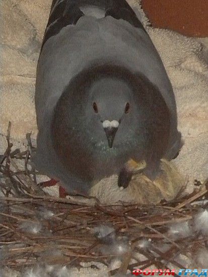 самостоятельные путешествия