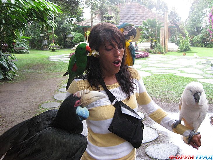 самостоятельные путешествия