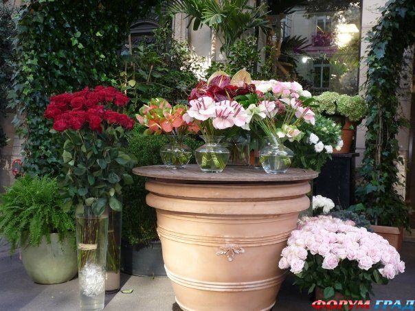 самостоятельные путешествия