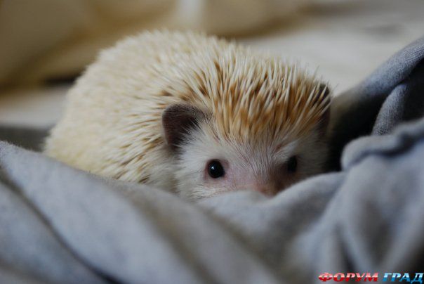 самостоятельные путешествия