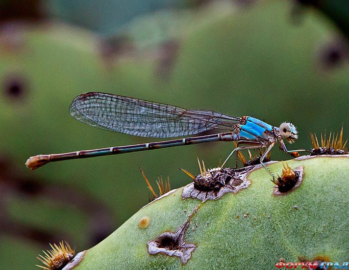 самостоятельные путешествия