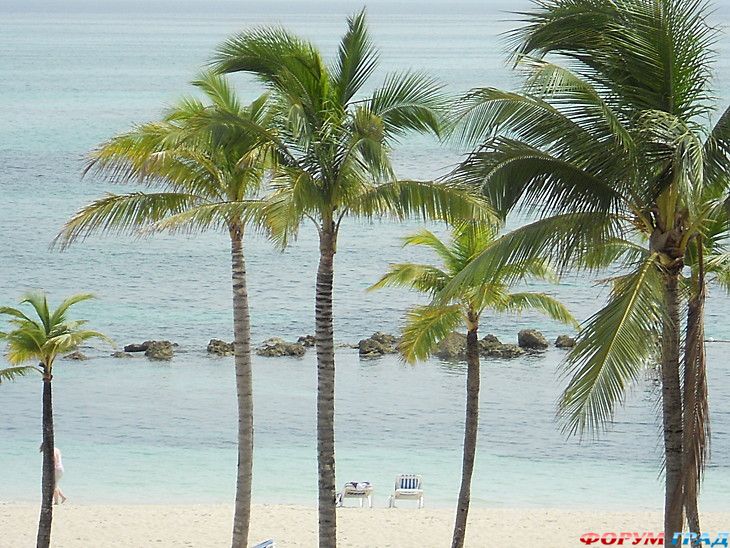 самостоятельные путешествия