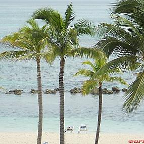 самостоятельные путешествия