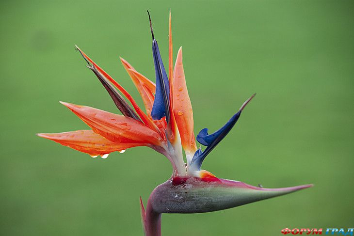 самостоятельные путешествия