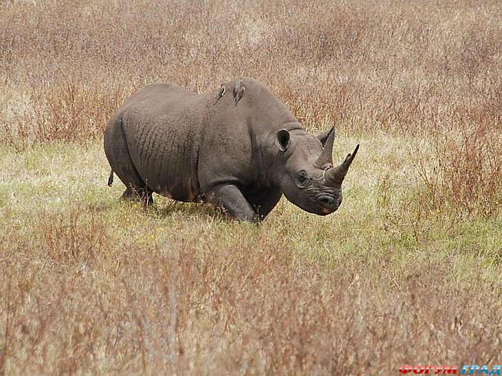 самостоятельные путешествия