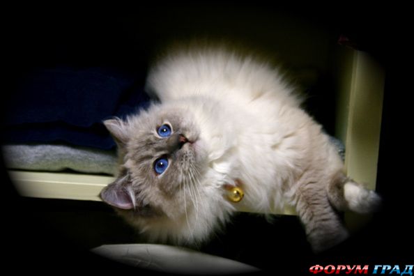 самостоятельные путешествия