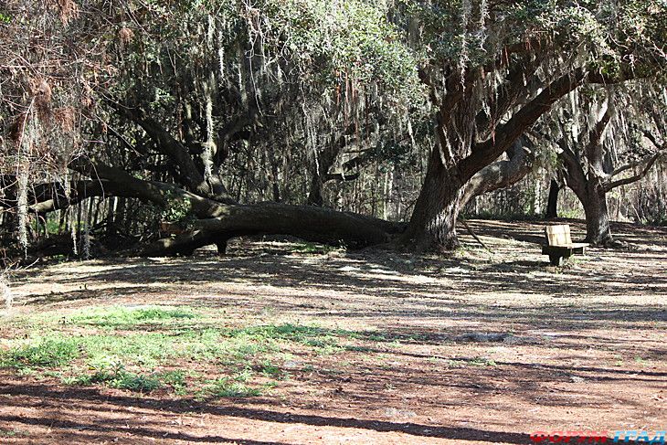 самостоятельные путешествия