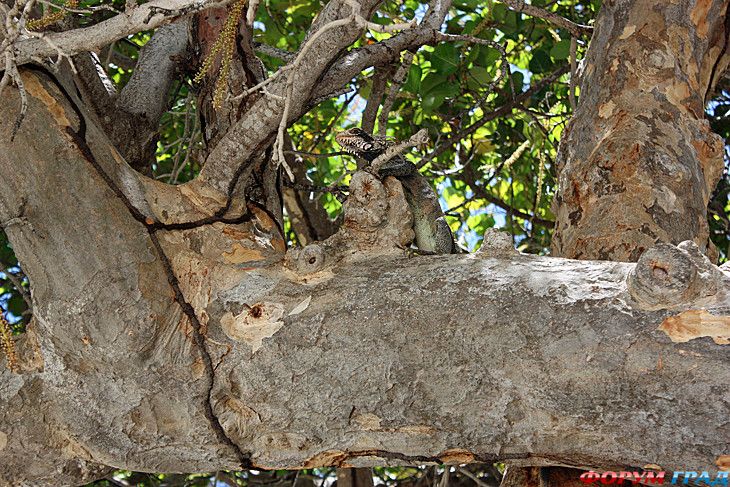 самостоятельные путешествия