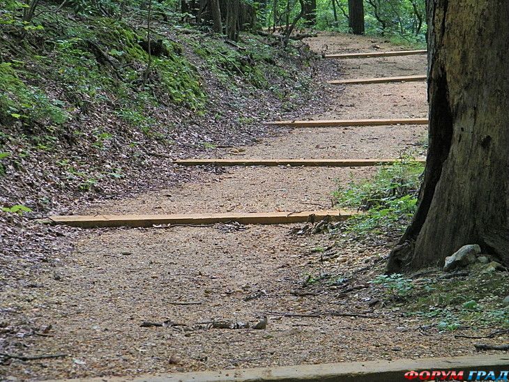 самостоятельные путешествия