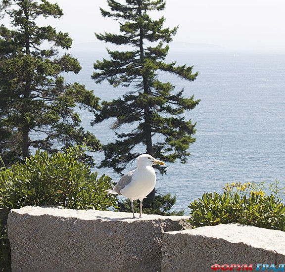 самостоятельные путешествия